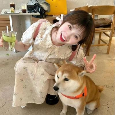 中年好声音
